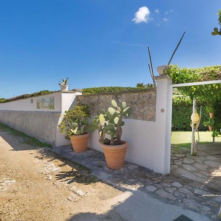 Residence Punta Cassano - In Piscina Sulla Spiaggia Di Sabbia Сан Фоча Екстериор снимка