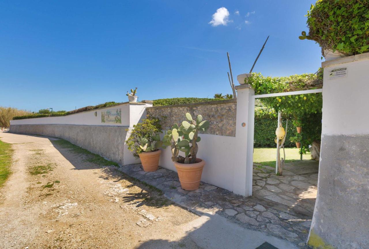 Residence Punta Cassano - In Piscina Sulla Spiaggia Di Sabbia Сан Фоча Екстериор снимка